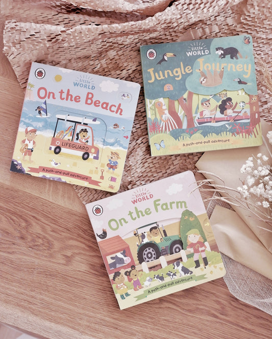 Little World Book Series