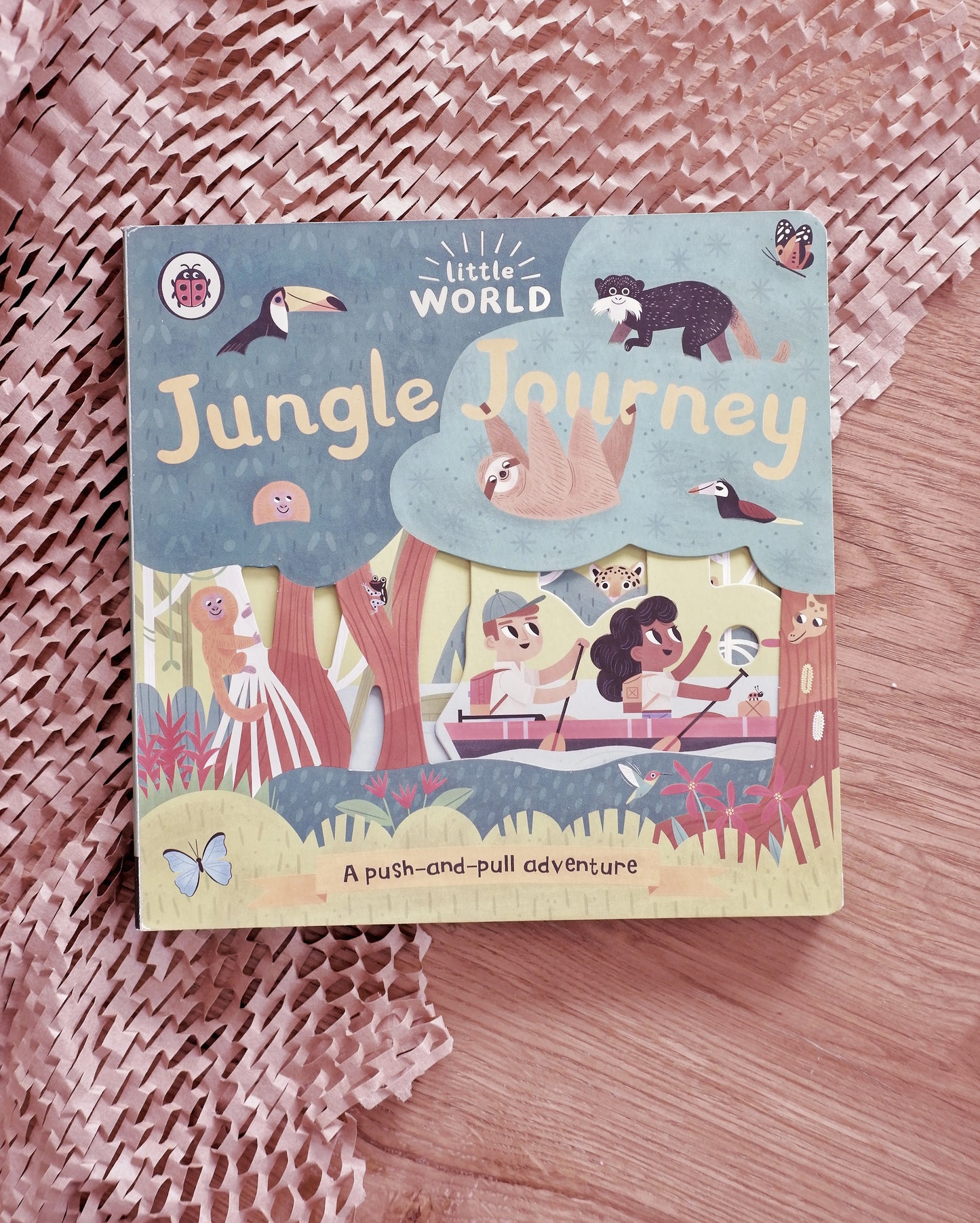 Little World Book Series