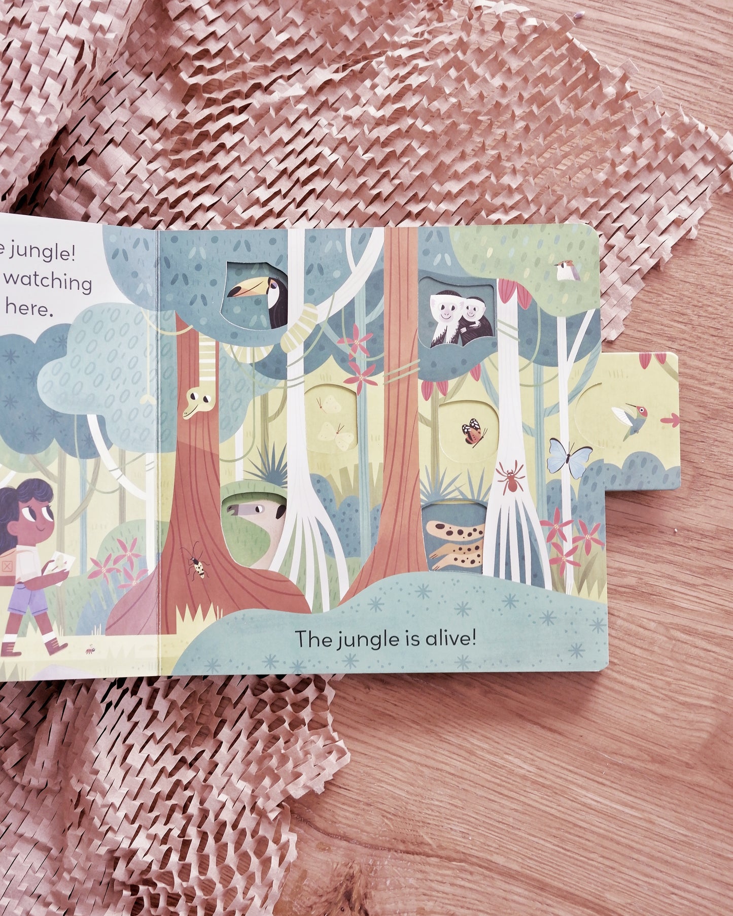 Little World Book Series