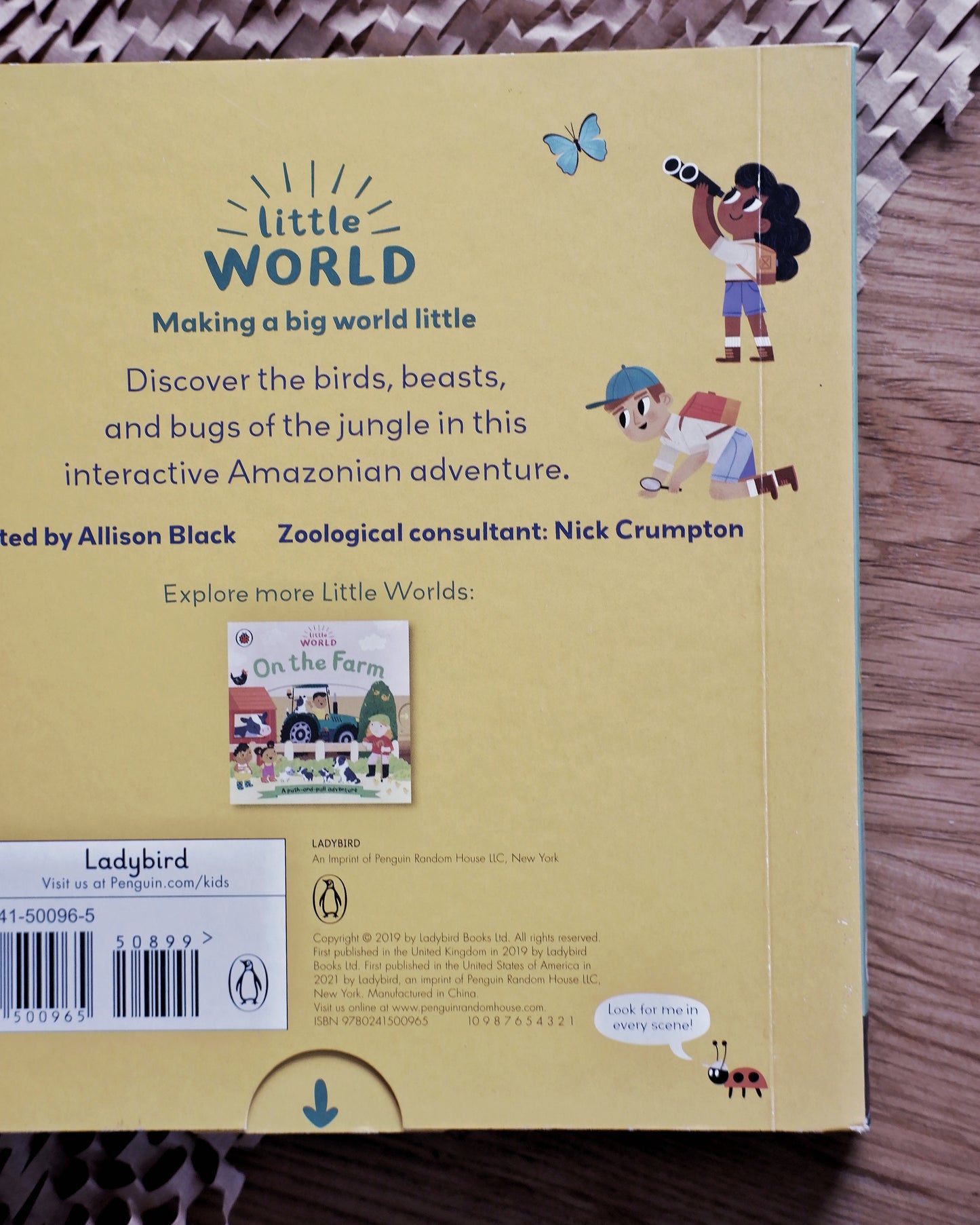 Little World Book Series