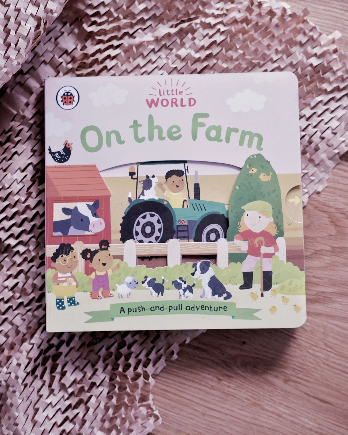 Little World Book Series