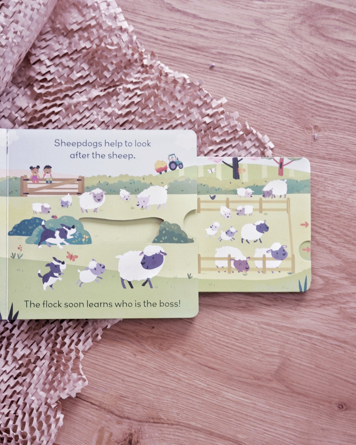 Little World Book Series