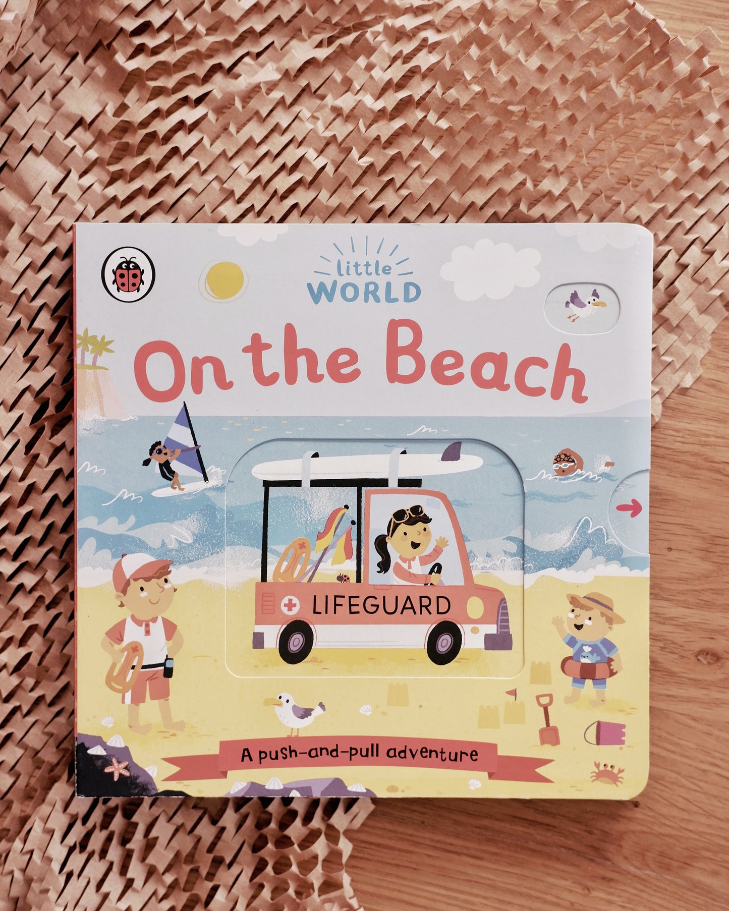 Little World Book Series