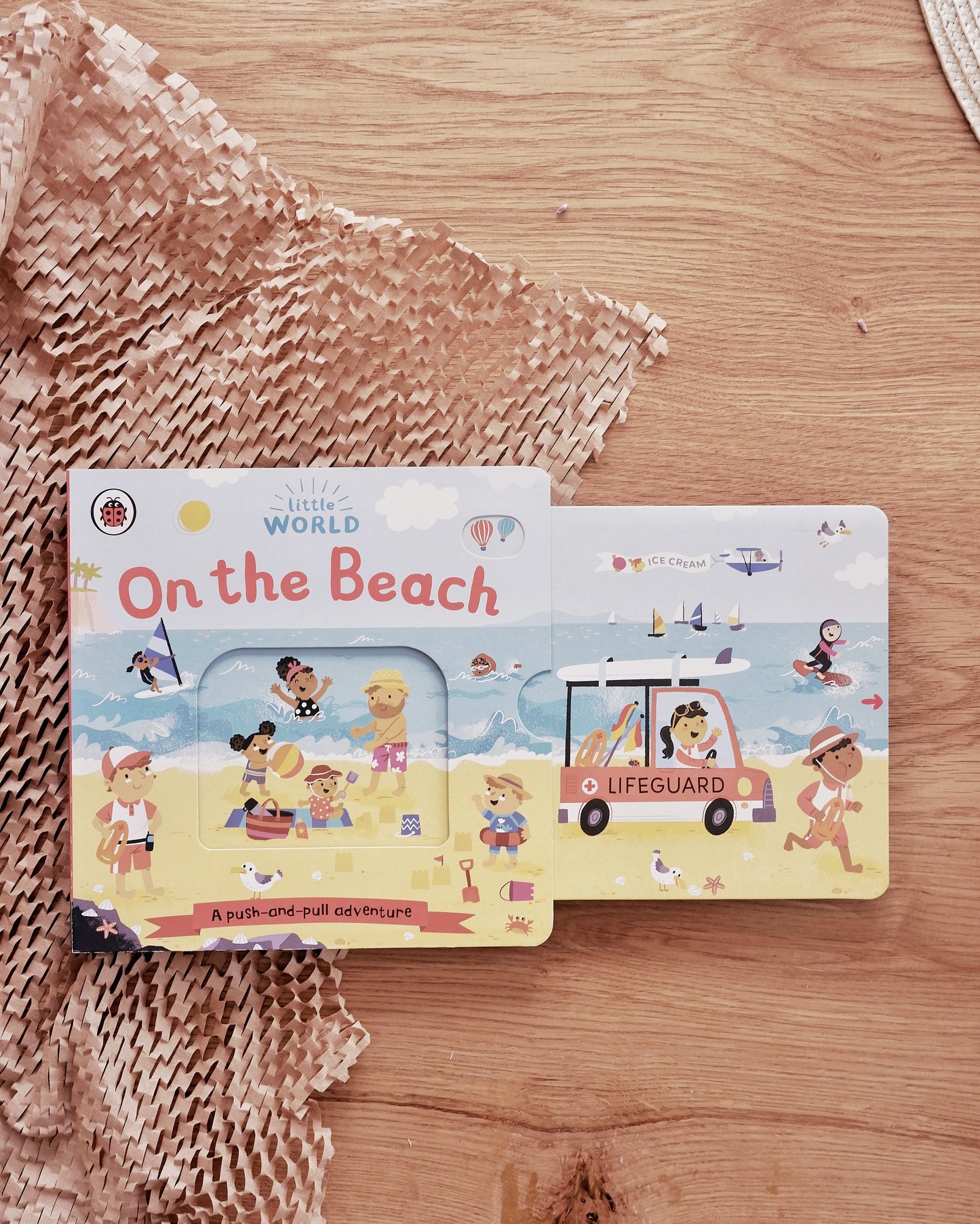 Little World Book Series
