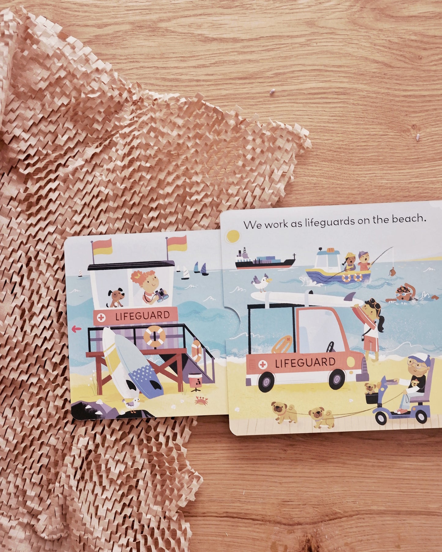 Little World Book Series