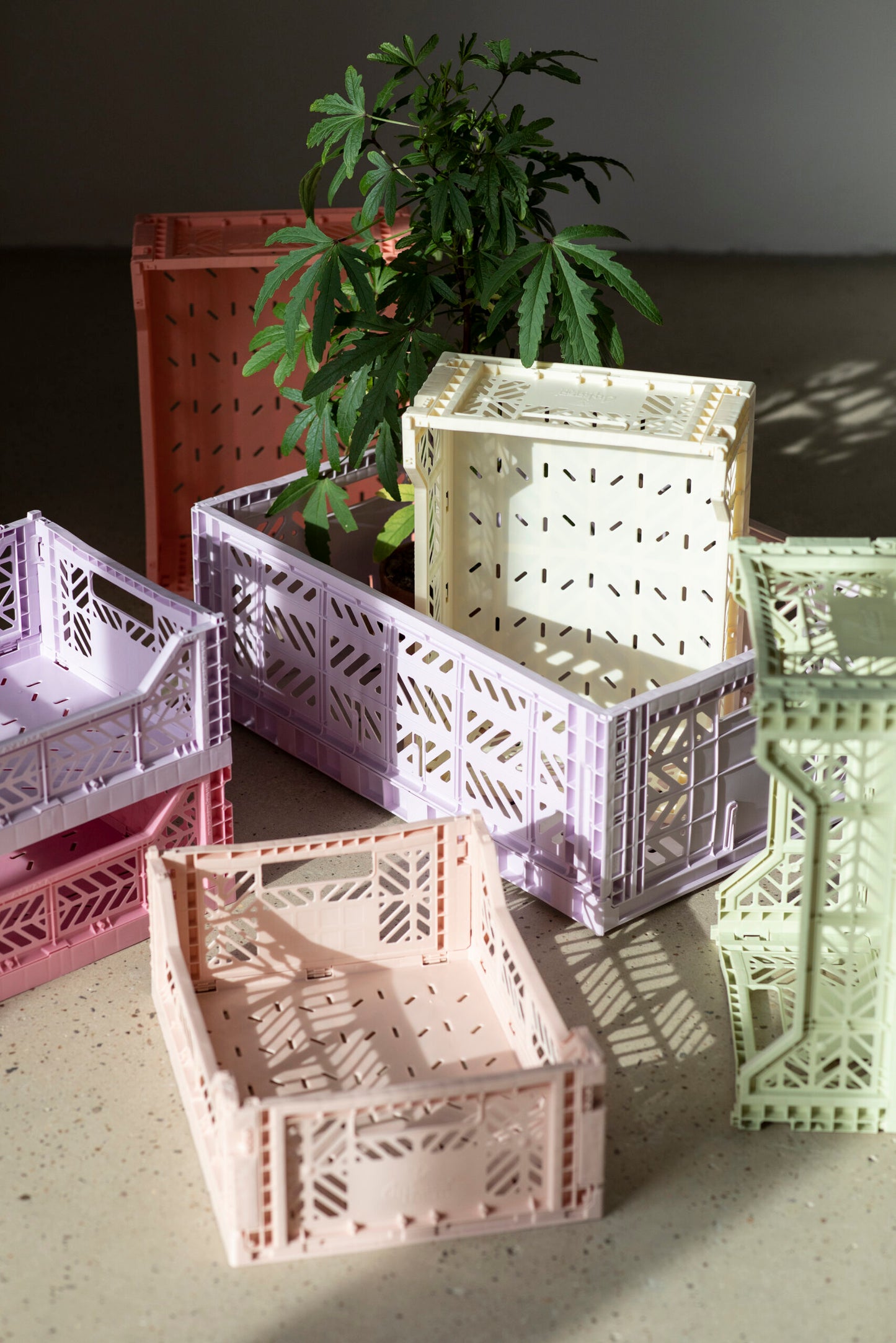 Folding Crate - Mini
