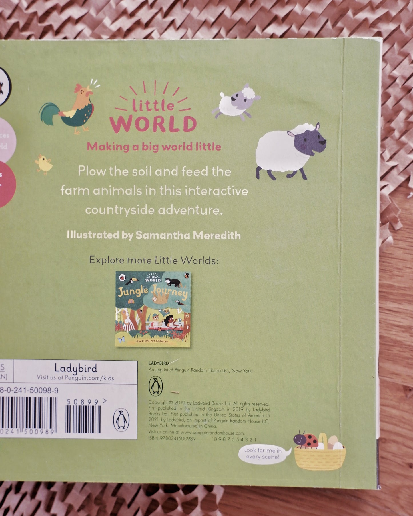 Little World Book Series